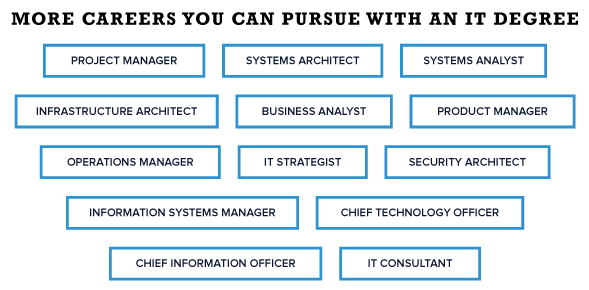More careers you can pursue with an I T degree. Project manager, systems architect, systems analyst, etc.