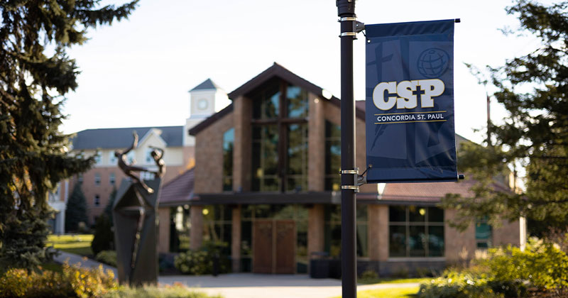 CSP flag on pole outside campus building